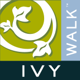 Ivy Walk